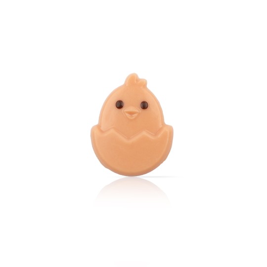 Hatching chick